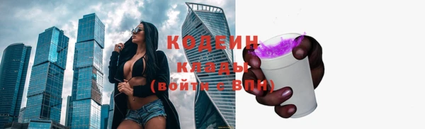 молекула духа Балахна