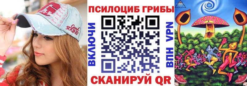 Псилоцибиновые грибы GOLDEN TEACHER  Купить закладки  Новосокольники 